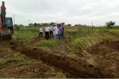 肥东县马湖乡 以土地整理为笔，绘就乡村振兴新画卷