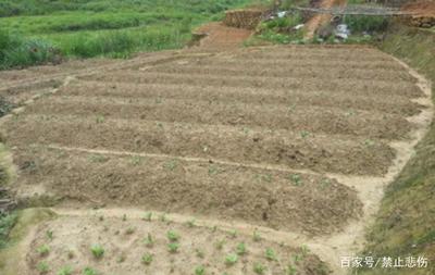 国家实施土地整理，提升土地利用率的重要举措