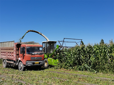 乌鲁木齐市米东区 防疫生产双线并进 农产品运输销售与房地产开发共绘发展蓝图