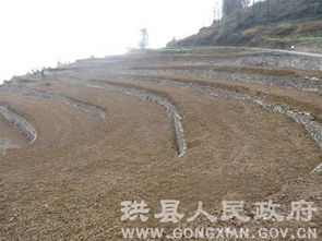 珙县土地整理项目迎接市国土资源局初次评估验收，为房地产开发奠定基础