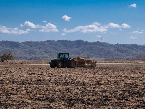 广西壮族自治区优秀土地整理与房地产开发企业推荐
